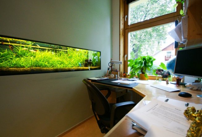 mein Arbeitszimmer ist sehr klein, aber mit dem Blick nach draußen und aufs Aquarium sehr schön.