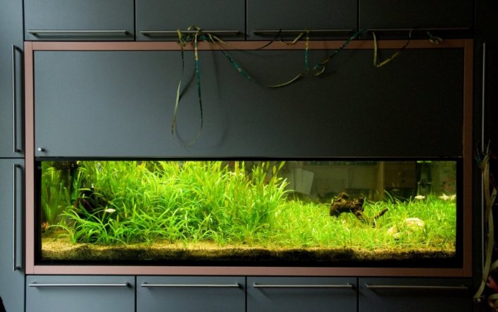 Wohnzimmer 'Aquarium'