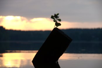 Ferienhaus am See