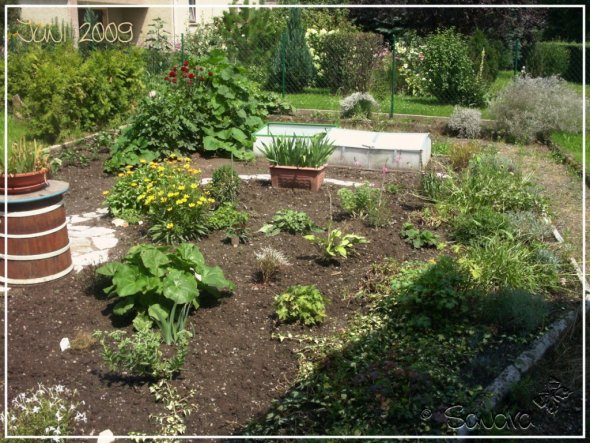 Garten 'unser Haus mit Garten'