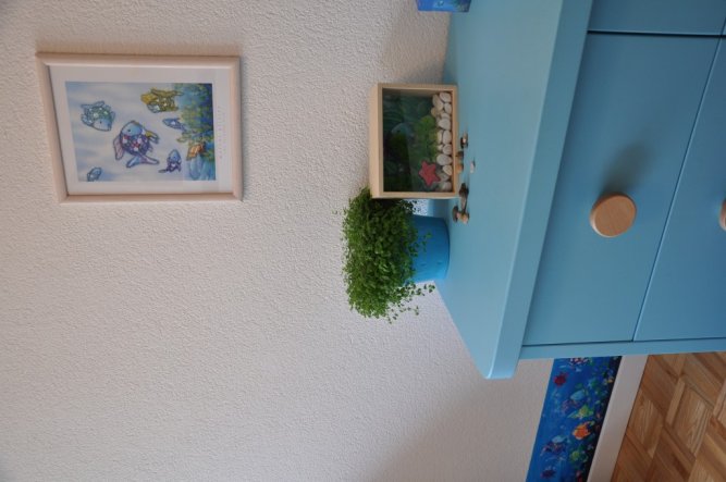 Kinderzimmer 'Regenbogenfisch'