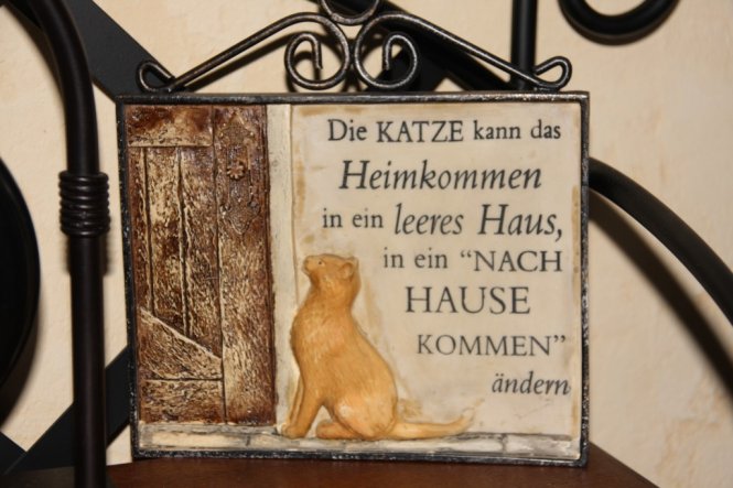 Haustiere 'ღKaterchen und Co,'