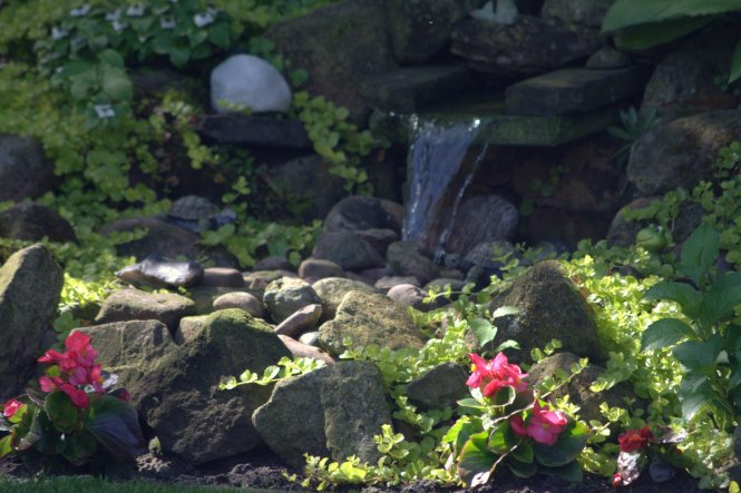 nachwievor ein Highlight im Garten ;-) Unser Bachlauf im Juni 2013