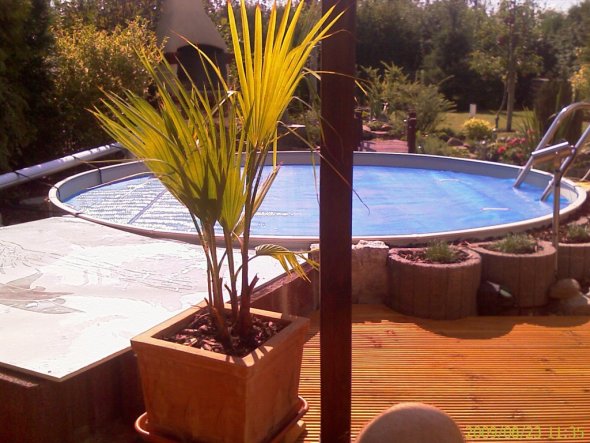 Pool / Schwimmbad 'Pool und Garten'