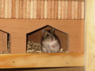 Unser Familienzuwachs