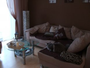 Wohnzimmer neu
