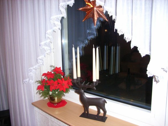 Weihnachtsdeko 'Weihnachten 2009'