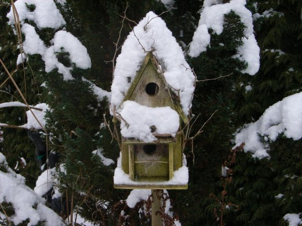 Garten 'in unsem Garten'