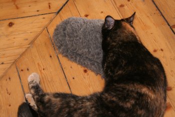 Polly und Pippa