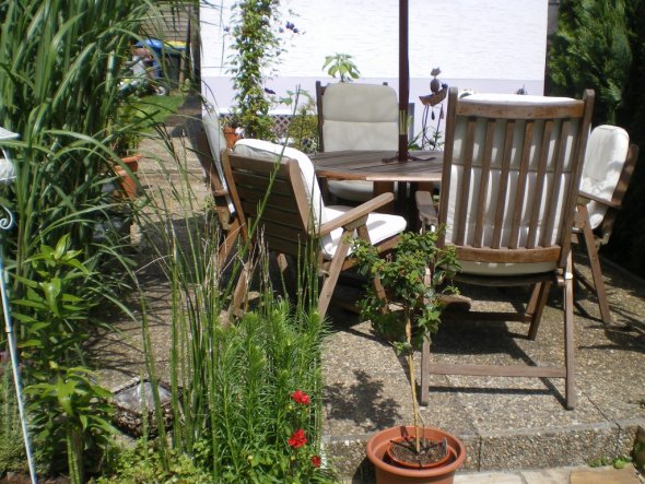 Garten 'mein Garten'