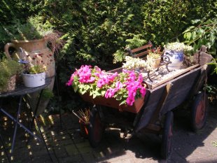 mein Garten