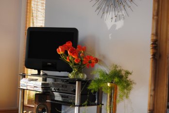 Wohnzimmer neu