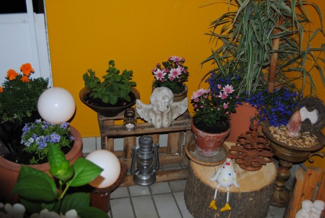 Impressionen auf meinem Balkon