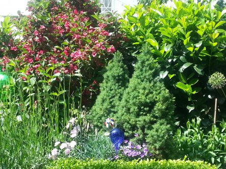 Garten 'Garten'