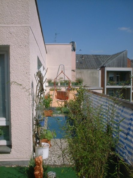 Hausfassade / Außenansichten 'Die Dachterasse'