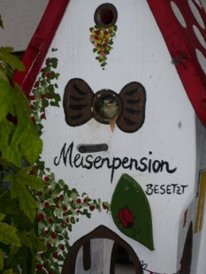 Sommernachtstraum
