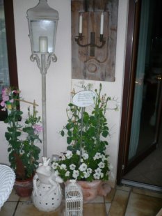 Zarte Bande 2010