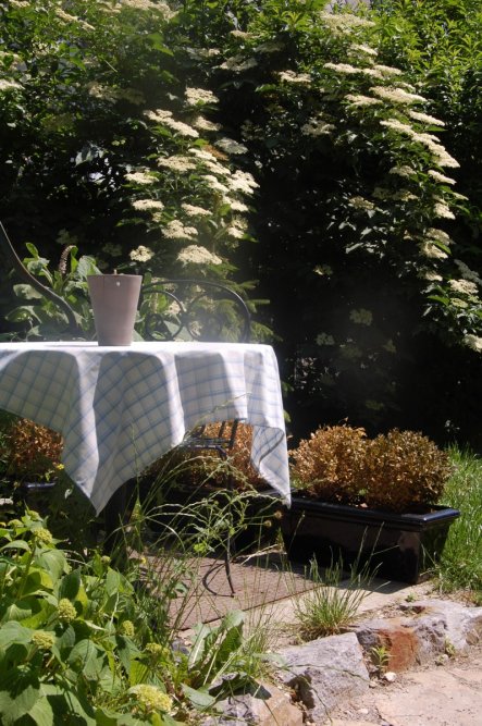 Hausfassade / Außenansichten Vorher/Nachher von living09 - 21500