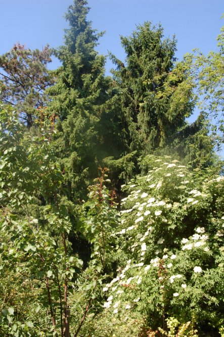 Hausfassade / Außenansichten Vorher/Nachher von living09 - 21500