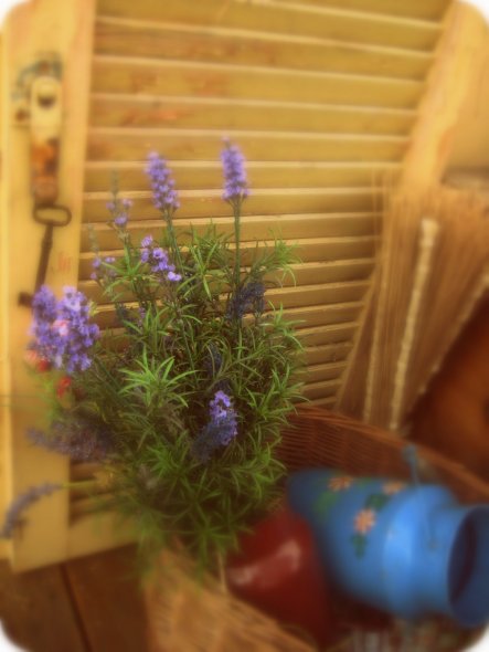 Terrasse / Balkon Landhäuschen von tuenderke - 33979 - Zimmerschau