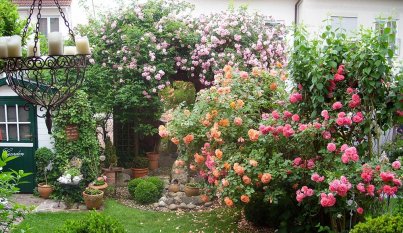 Die bebliebteste Einrichtung: 'Unser Garten' von klausundute1