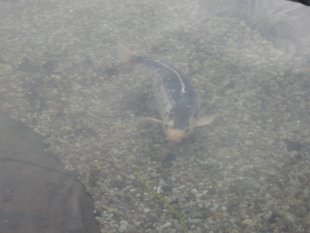 alle Räume 'Teichbau'