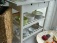 Küche 'Esstempel 2011 - NEU - '