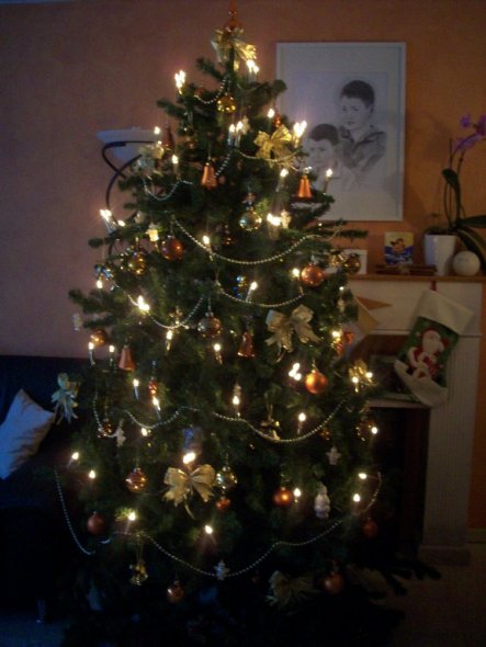 Tannenbaum im Wohnzimmer, reicht fast bis zur Decke, ist mit gold, aprikot und braunen Kugeln verziehrt, hat kleine weiße Engel, goldene Schleifen und