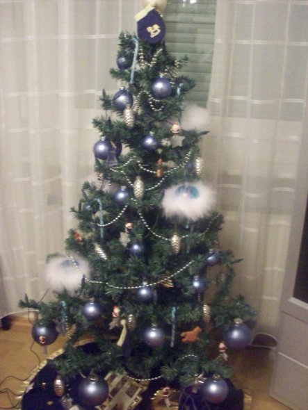 der Christbaum bei meinem großen Sohn im Zimmer, er mag die Farbe blau, er hat sogar blaue Zuckerstangen gefunden