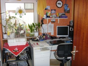 Arbeitszimmer / Büro 'Büro'