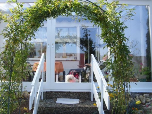 Terrasse / Balkon 'Wintergarten'