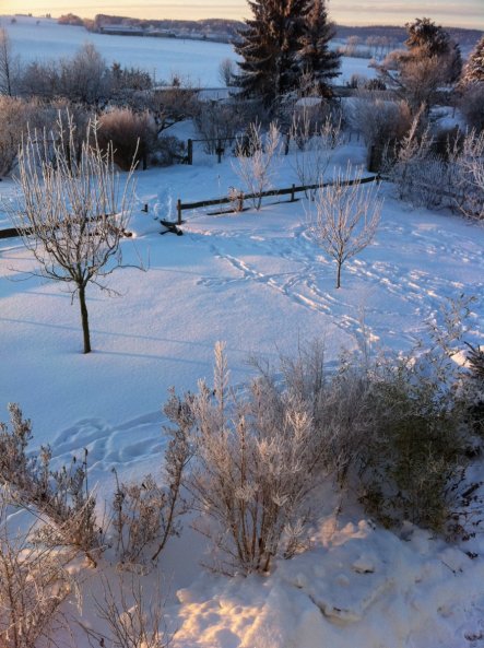 Garten 'Gartenreich'