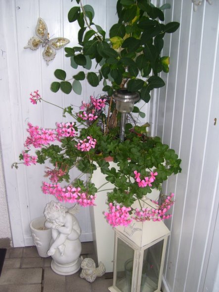 Wohnzimmer Unser Zuhause von bine68 - 23234 - Zimmerschau