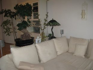 Wohn und Chillzimmer