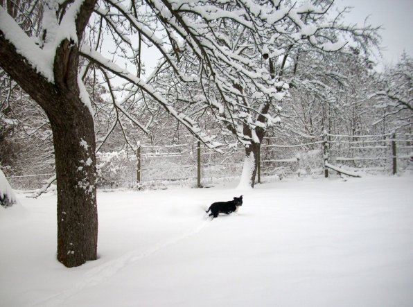 Garten 'Winterlandschaft'