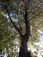 Deko 'Herbst'