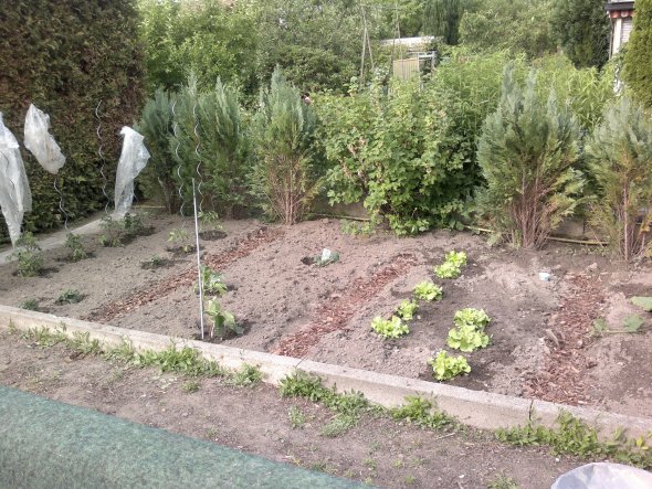 Garten Klein aber fein ! von Pummelfee 32440 Zimmerschau