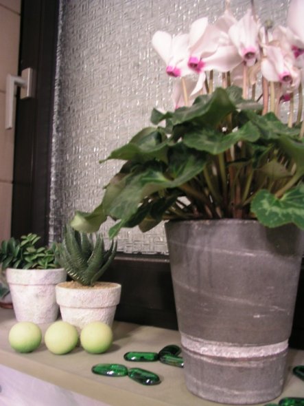 Typische, moderne Badezimmerpflanze. Hier wächst sie auch sehr gut!