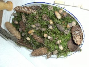 Wohnzimmer 'Es herbstelt'