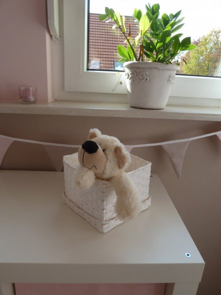 Kinderzimmer 'Unser Babyzimmer'