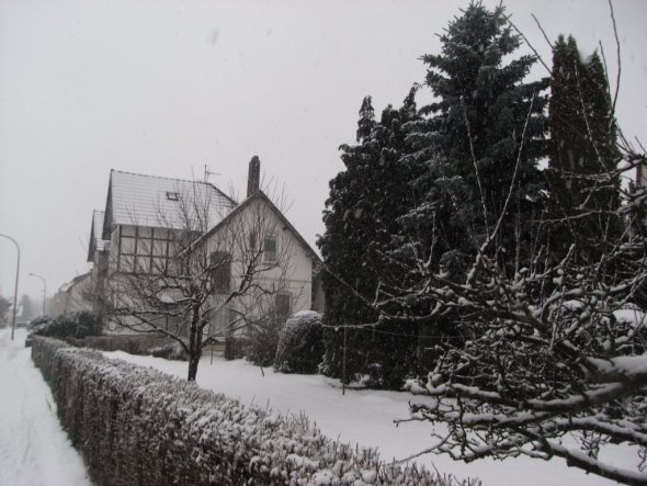 Blick vom Garten vorne aus