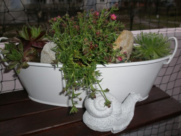 Terrasse / Balkon bei uns zu haus von lichtertanz - 18131 - Zimmerschau