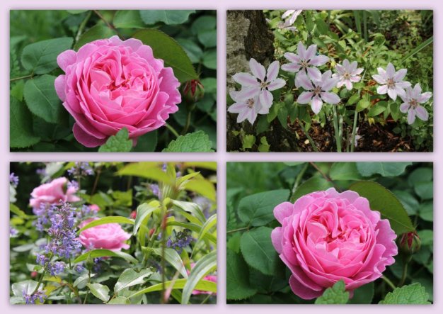 Garten 'atelierchen unter dem kirschbaum'