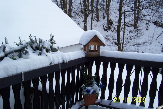 leider hat es nicht bis Weihnachten gehalten