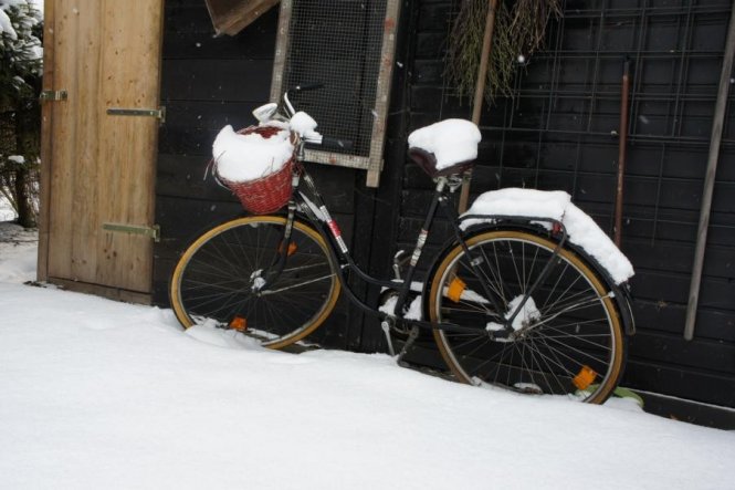 Garten 'Winterimpressionen'