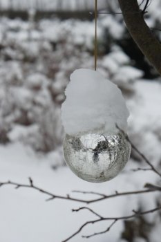 Garten 'Winterimpressionen'