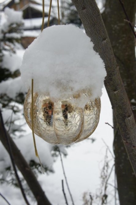 Garten 'Winterimpressionen'