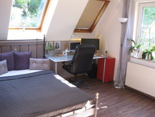 Arbeitszimmer / Büro 'Büro'