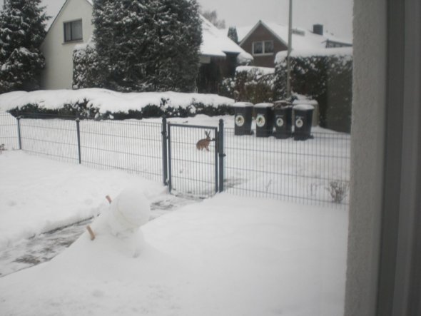 na was das denn:
der osterhase !!!!
mmmhhh der ist wohl ein klein wenig zu früh.