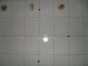 alle Räume 'Mein Raum'